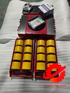 Rùa điện chuyển hàng